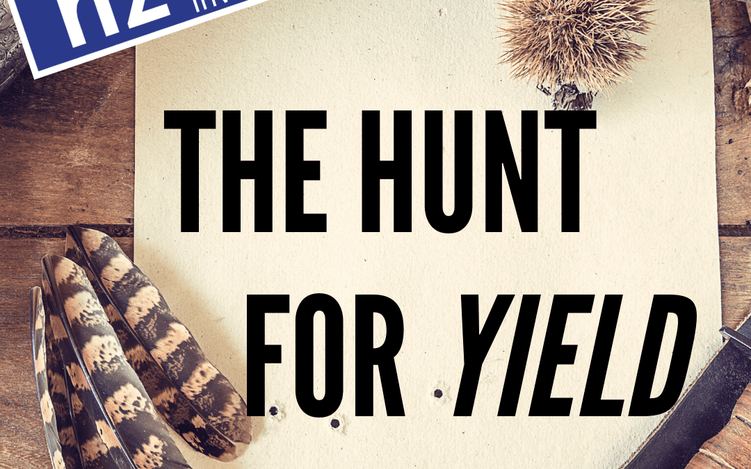 The Hunt for Yield / David Boyle